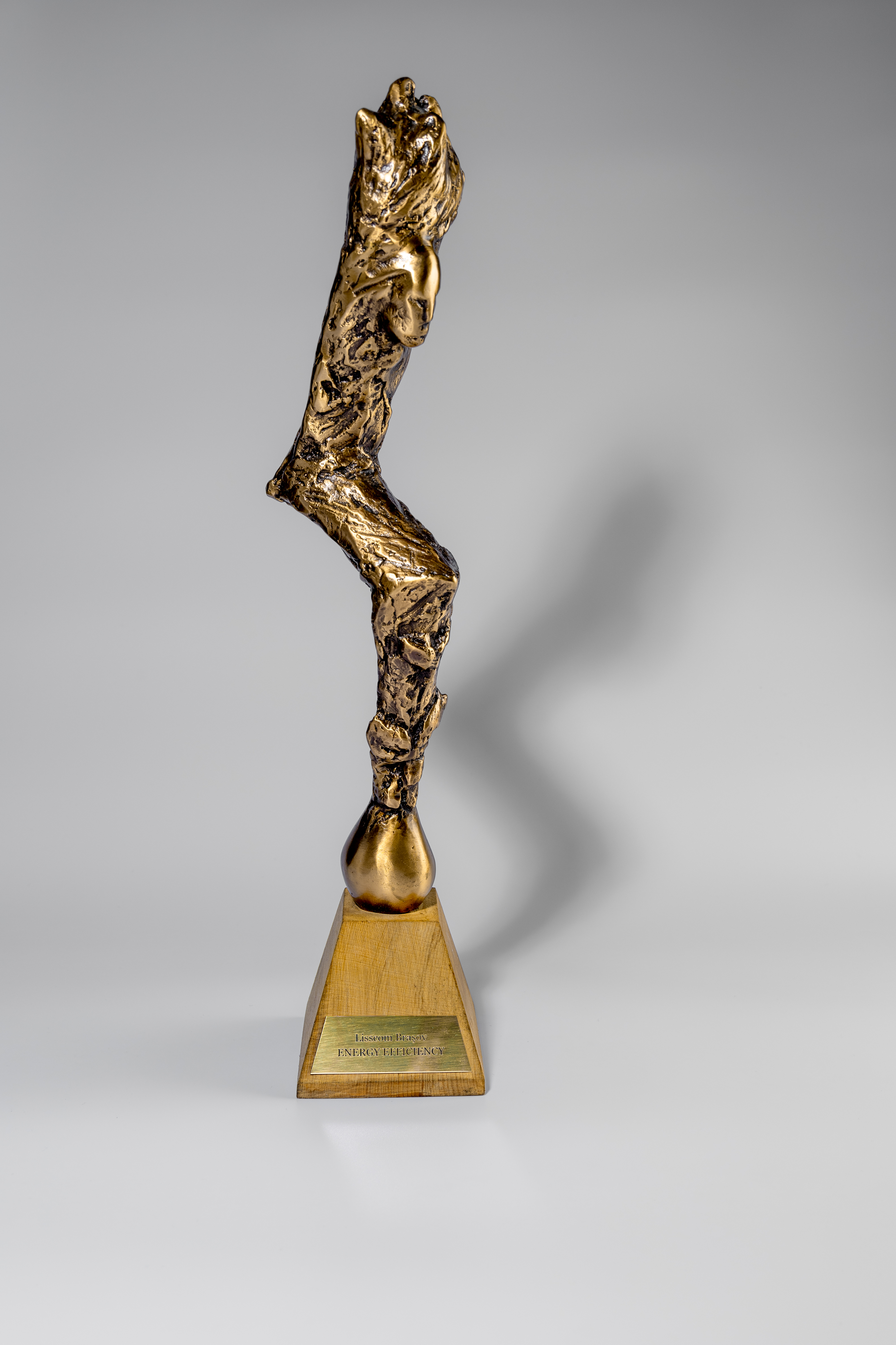 Premiu 3